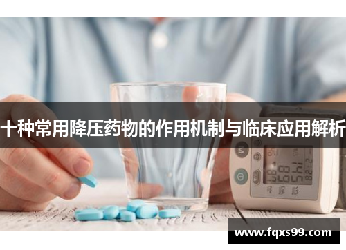 十种常用降压药物的作用机制与临床应用解析