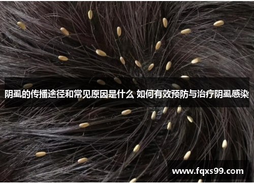 阴虱的传播途径和常见原因是什么 如何有效预防与治疗阴虱感染