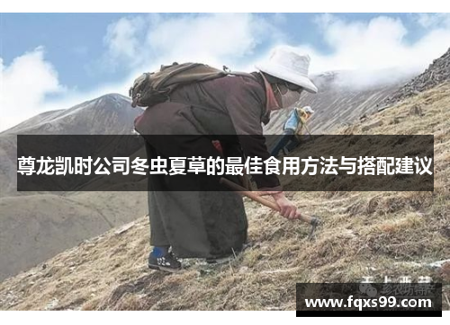 尊龙凯时公司冬虫夏草的最佳食用方法与搭配建议